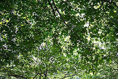 世纪初经典平台跳跃游戏《冰塔冒险》明年登陆Steam