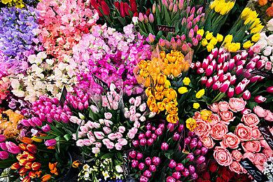 《骑士精神2》即将追加两种全新武器